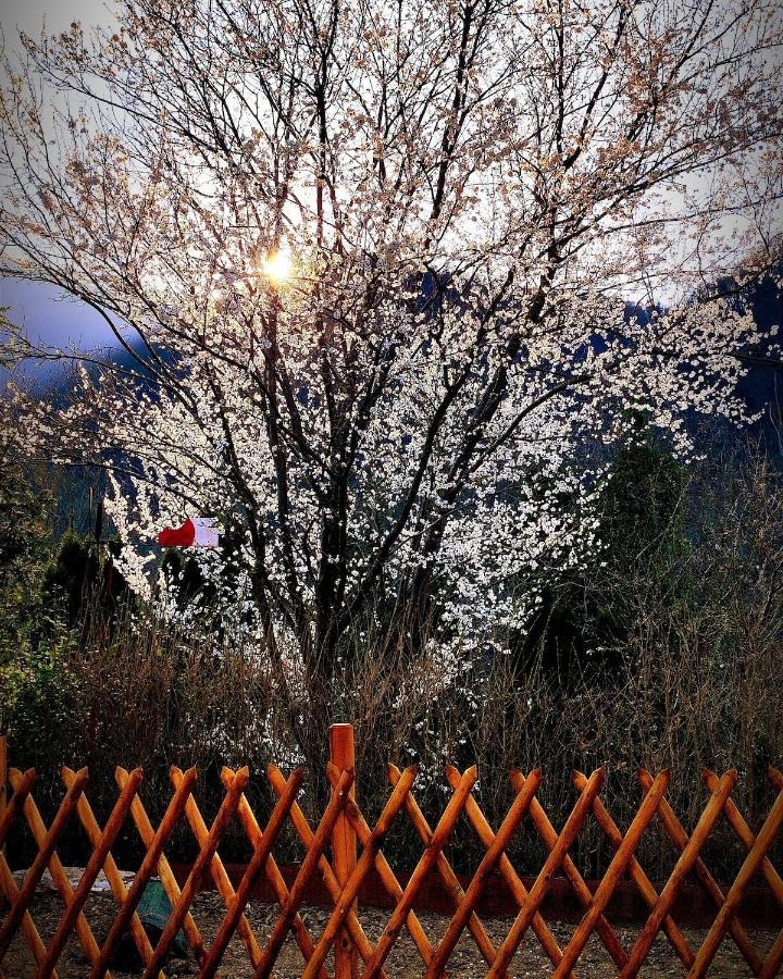 Moksha Slovenia Tolmin Bagian luar foto