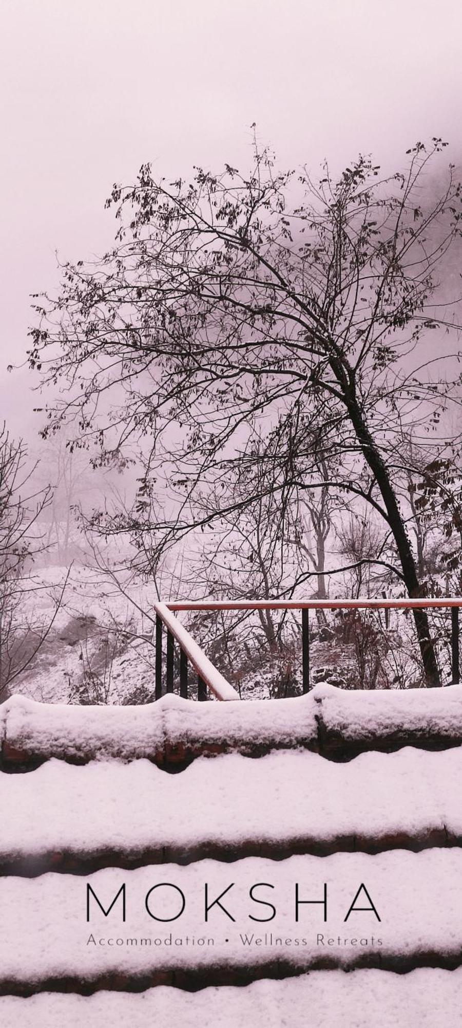Moksha Slovenia Tolmin Bagian luar foto
